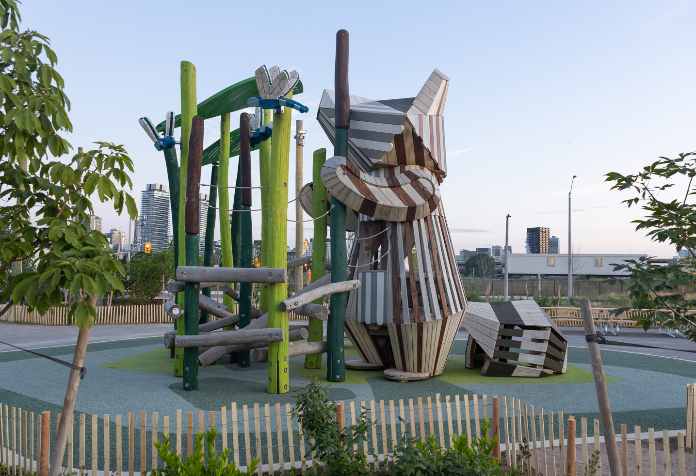 reaching raccoon climber