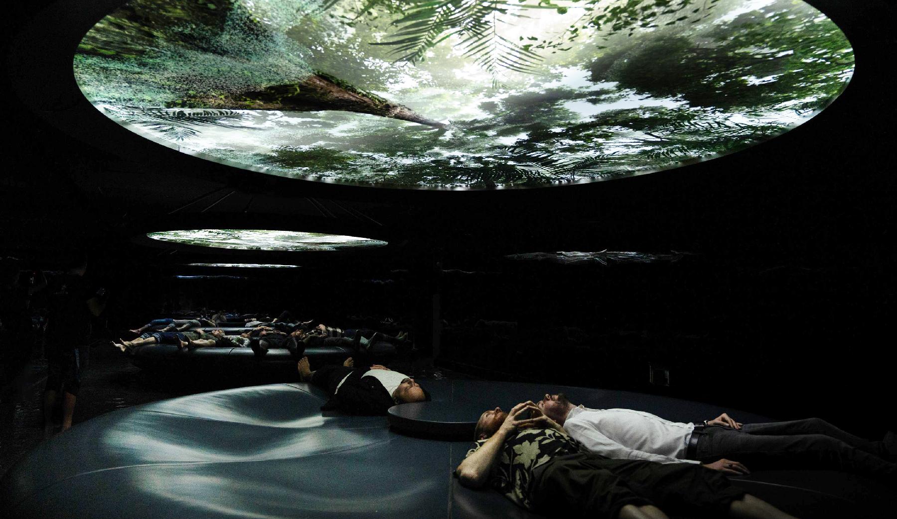 Guests experiencing sight, sound, smell and touch