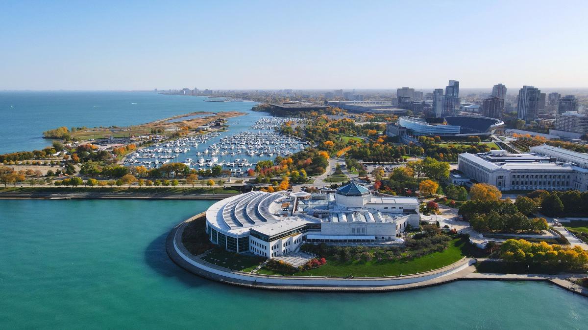 The Shedd Aquarium is celebrating its centennial / Wirestock Creators/Shutterstock
