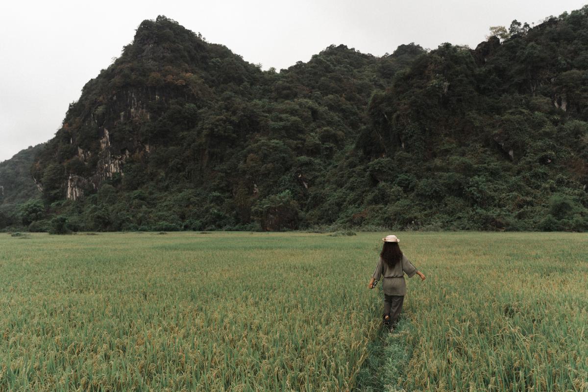 The resort is located in the UNESCO-listed landscape of Phong Nha–Ke Bang National Park / Auko