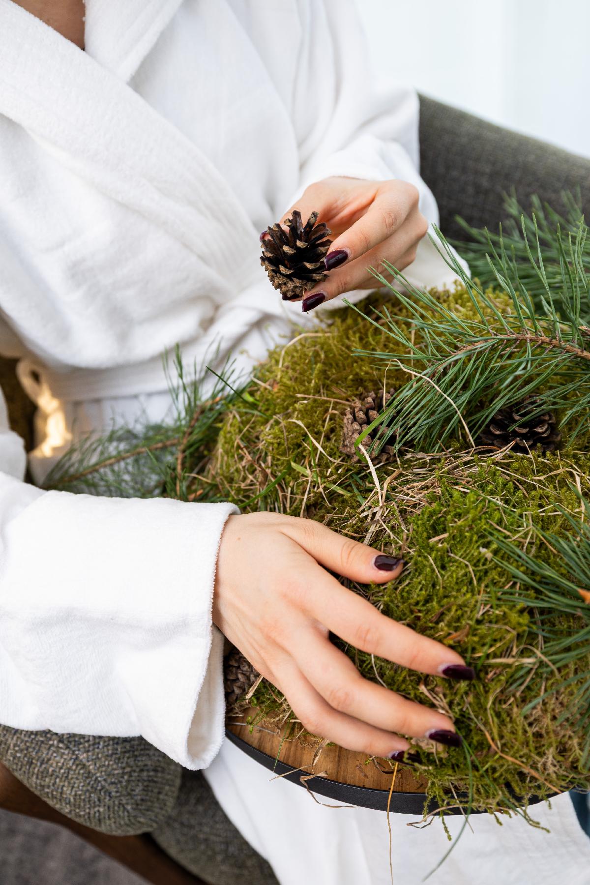 Plants will provide guests who can't go outside with a way to experience nature / Addere Care Vilnius