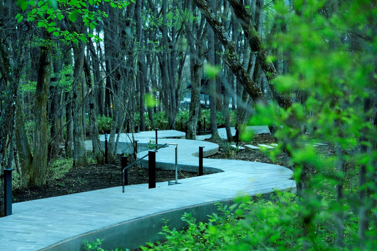 The secluded property features forest paths / Hoshino Resorts