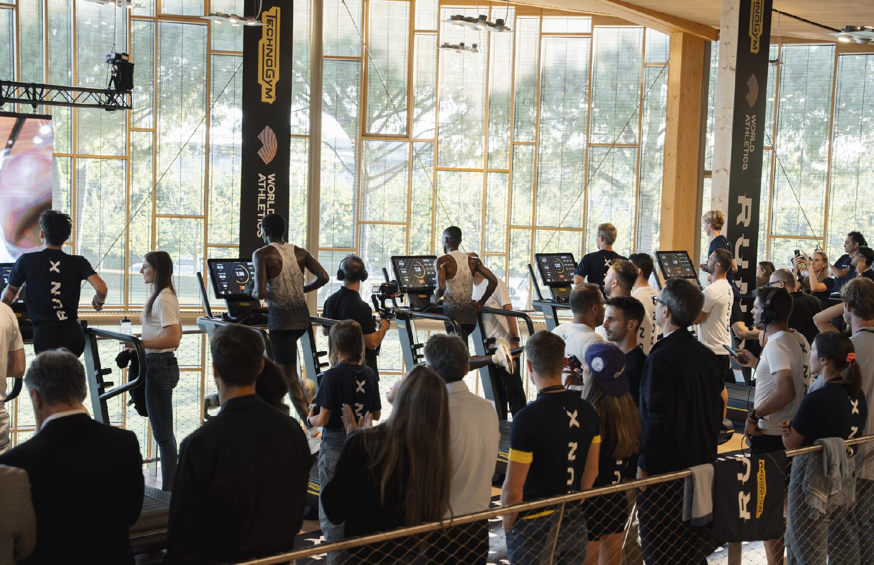 Group on treadmills