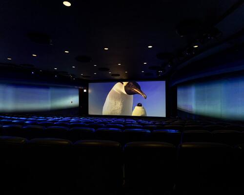 The new theatre features Penguins, Sharks and Octopi / © Shedd Aquarium/Brenna Hernandez, © John Downer Productions Ltd, 2024 Photography Frederique Olivier/JDP © 2012