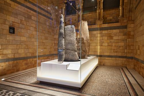 Additional cases reflect areas of scientific endeavour, including origins, evolution and biodiversity / NHM