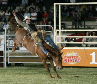 Sydney Royal Easter Show draws in the crowds
