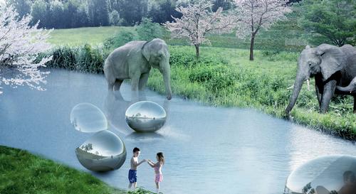 The first phase is expected to be completed in 2019 to coincide with the park's 50th anniversary / BIG 
