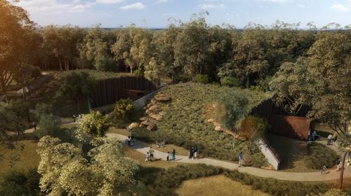 According to M+A, who are handling building design for the project, structures will be secondary in design to the zoo’s inhabitants