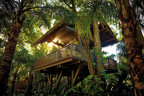 In keeping with the natural theme, treatments can take place in one of two tree house platforms