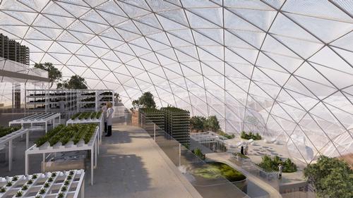 The project includes an experiment involving a team living in the simulated city for one year, devising a range of experiments around self-sufficiency in energy, water and food / Government of Dubai