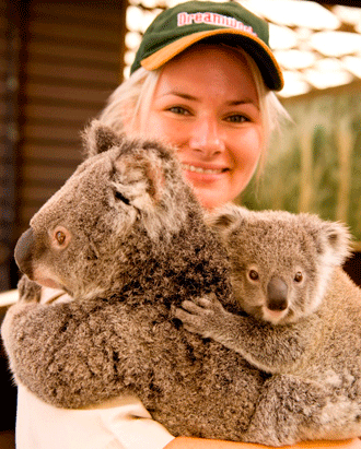 Dreamworld joey koalas star in Save the Koala Day