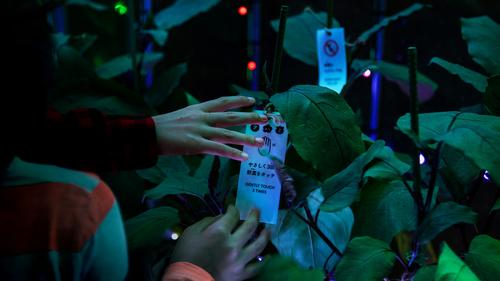 Digital Vegetables, an interactive installation in Tokyo, Japan, was created by Party / Party
