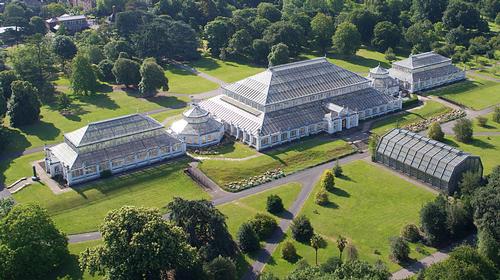An aerial view of the Temperate House / © Board of Trustees, RBG Kew