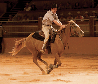 Outback Spectacular continues shows despite horse flu crisis