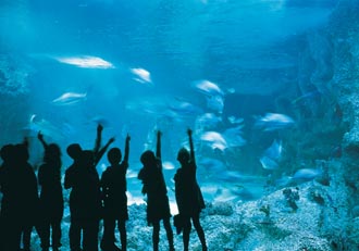 Sydney Aquarium appoints PR experts