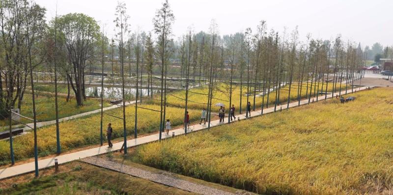 Chengtoushan Archaeological Park Chengtoushan Archaeological Park
