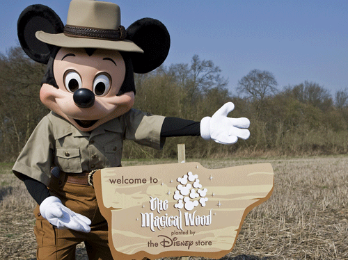 Disney Store UK signs up to woodland scheme