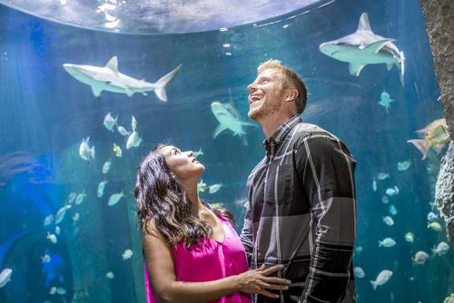 Jacobs, and Sean and Catherine Lowe from ABC's <i>The Bachelor</i> attended the soft opening / Roberto Gonzalez/Getty Images for I-Drive 360