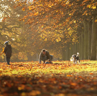 £2m revitalisation of Scotland’s urban forests