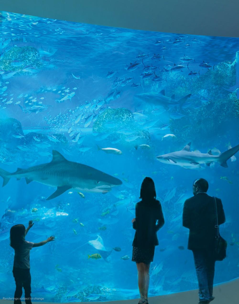 Aquatic creatures will be displayed across 3.8 million litres of water