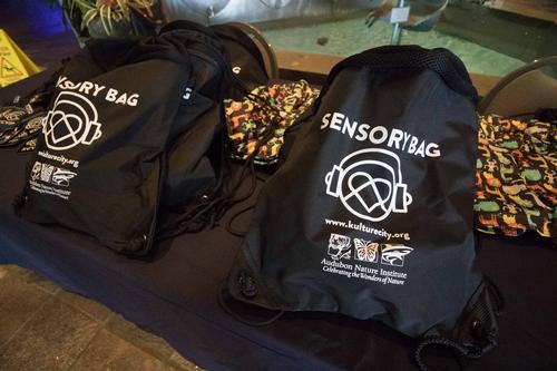 'Sensory bags' are also made available, which include noise-canceling headphones, 