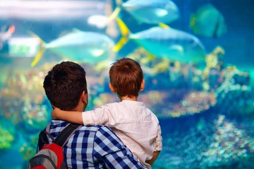 The aquarium reopens its doors at the end of March / Shutterstock.com/Olesia Bilkei