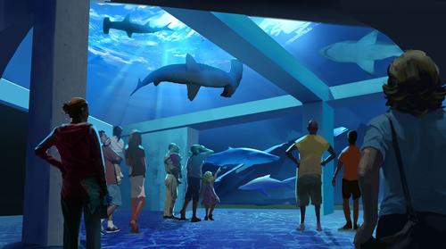In a new release, aquarium president and CEO, Joesph Handy, said the new development would spotlight “the awe-inspiring species of shark”