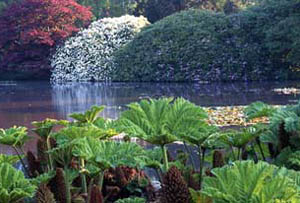 National Trust acquires historic parkland