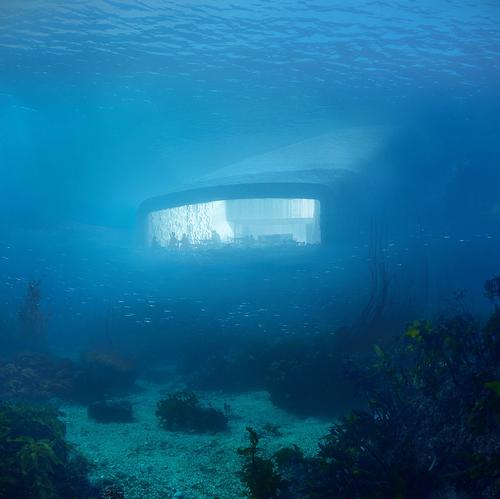 Researchers will make use of Under's large acrylic windows to study the surrounding ocean life / Courtesy of Snøhetta