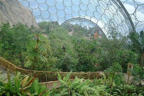 The Eden Project was named the UK's best UK leisure attraction / Shutterstock.com
