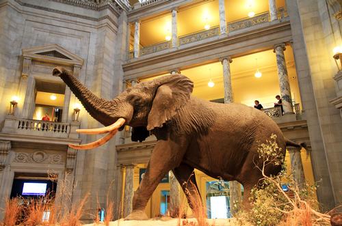 The site would operate as a satellite to Virginia's Museum of Natural History The site would operate as a satellite to Virginia's Museum of Natural History