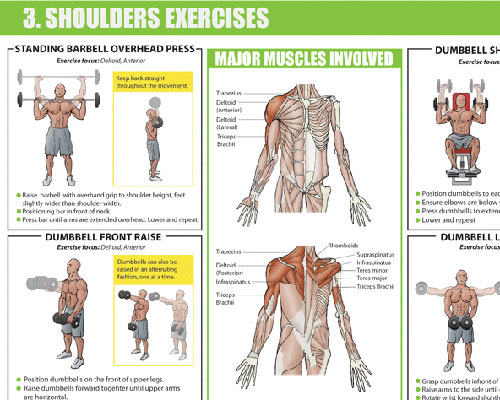 IDASS educational charts 