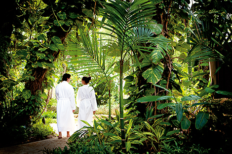The diversity of local plants is profound and up to 70 are used in the spa in a variety of ways