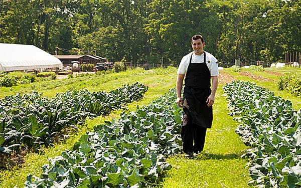 The Ninety Acres restaurant at Natirar boasts fresh farm to table fare and a high-end cookery school – all supplied by the on-site farm