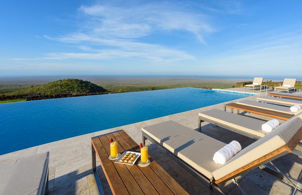 The hotel features an infinity pool, a restaurant, a bar, a spa and – more unusually – a giant tortoise reserve