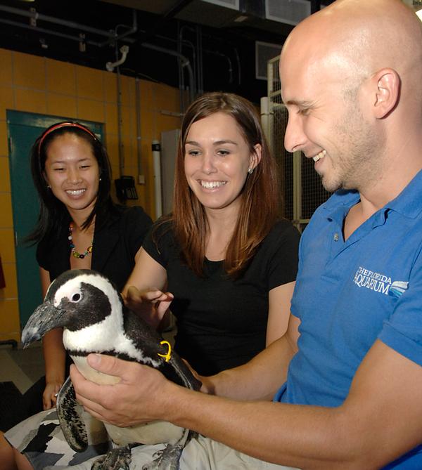 The Florida Aquarium conducts a variety of educational and public awareness programmes