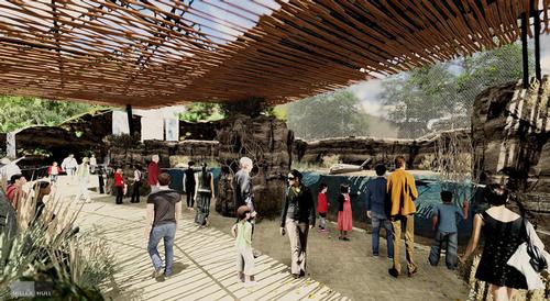 Africa Rocks' dwarf crocodile habitat