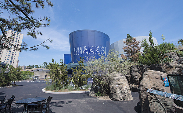 Called Ocean Wonders: Sharks!,
around US$158m has been invested in 
the brand new three-storey aquarium