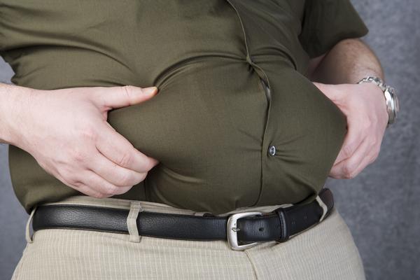 Could bacteria present in the gut influence obesity levels? / © all photos/shutterstock.com