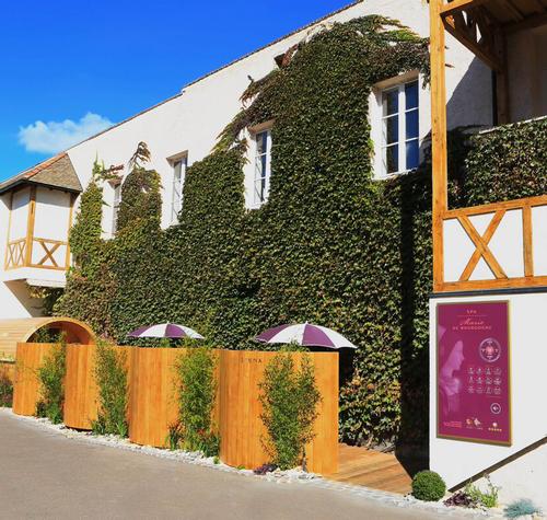 New Burgundy spa uses skincare based on local vineyards
