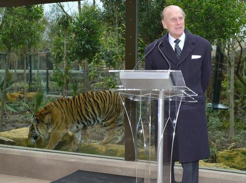 The Duke of Edinburgh officially opens the tigers' new home
