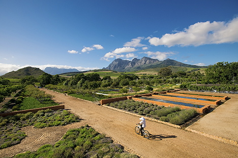 Babylonstoren is famed for its eight acre garden
