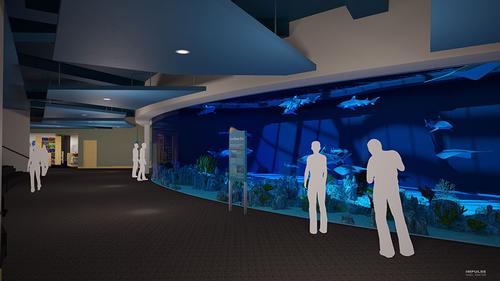 The expansion includes a 400,000 gallon shark habitat