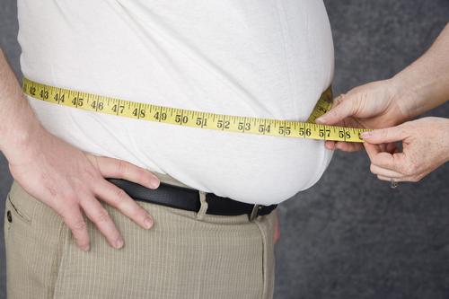 Research provides insight on potential impact of obesity on the brain