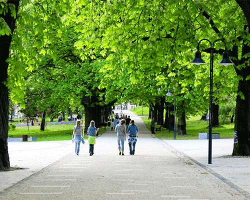 Green spaces better for mental wellbeing than winning lottery