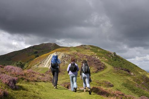 Hiking was among the activities included in the national survey / Shutterstock/Gail Johnson