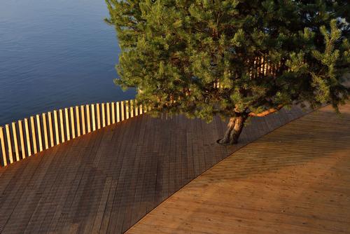 RS+ integrated trees into the design / Tomasz Zakrzewski / archifolio.pl