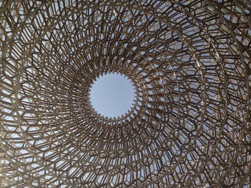 A view from inside the Hive, designed by Wolfgang Buttress and BDP for the UK pavilion / @WButtress