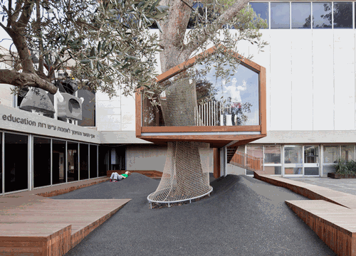 Israel Museum tree house reinvigorates public meeting space 