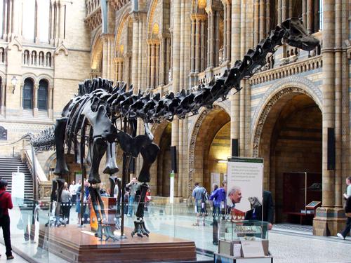 The Natural History Museum was ranked second on the list / Flickr.com 